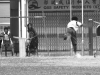 Homerun